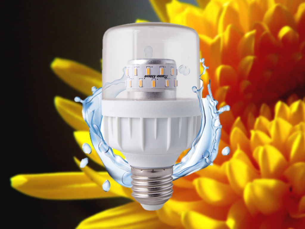 Bóng đèn LED chuyên dụng cho hoa cúc miền bắc