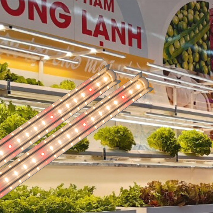 Đèn LED chuyên dụng trồng rau