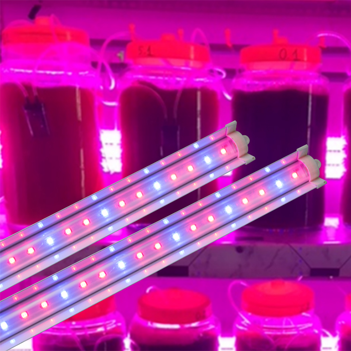 Đèn LED chuyên dụng trồng Tảo