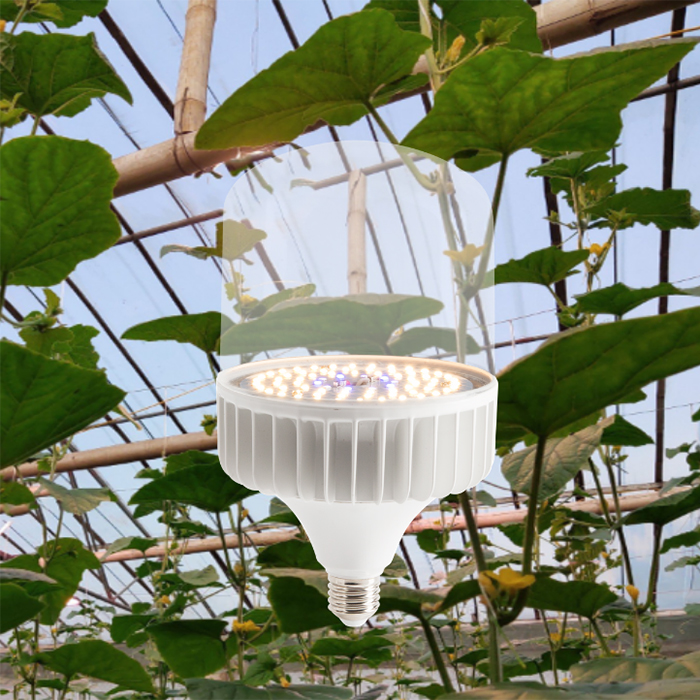 Đèn LED trồng cây
